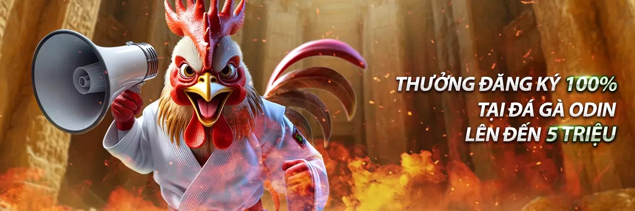 Hướng dẫn nhận khuyến mãi AE888